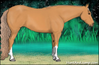 Horse Color:Chocolate Palomino 