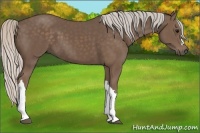 Horse Color:Silver Black 