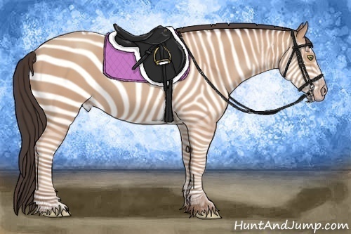 Horse Color:Amber Champagne 