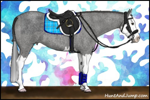 Horse Color: Blue Roan Splash 