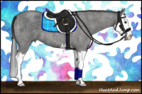 Horse Color:Blue Roan Splash