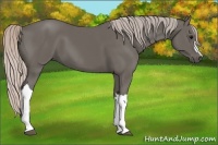 Horse Color:Silver Black 