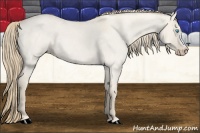 Horse Color:Smoky Creme Roan Dun 