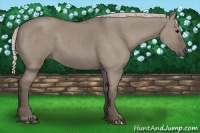 Horse Color:Silver Grullo 