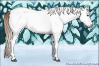 Horse Color:Gray Chestnut Ice Tobiano Varnish 