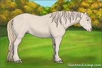 Horse Color:Smoky Creme 