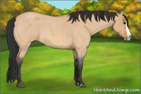 Horse Color:Bay Roan Dun Splash 