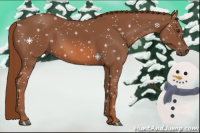 Horse Color:Chestnut Rabicano