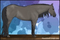 Horse Color:Grullo Rabicano 