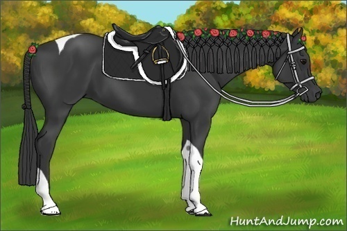 Horse Color:Black Tobiano 