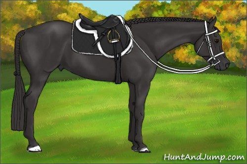 Horse Color:Smoky Black 