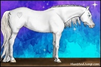 Horse Color:Perlino Varnish 