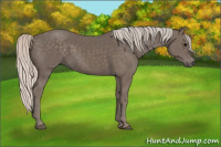Horse Color:Silver Black 