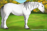 Horse Color:Gray Bay Splash Tobiano