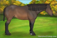Horse Color:Brown 