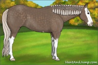 Horse Color:Silver Black Splash 