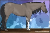 Horse Color:Grullo Tobiano 
