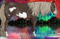 Horse Color:Liver Chestnut Frame 