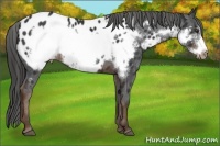 Horse Color:Liver Chestnut Frame Blanket 