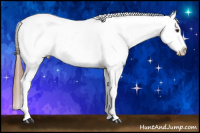 Horse Color:White Spotted Red Dun Frame Varnish 