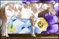 Horse Color:White Spotted Liver Chestnut Ice 