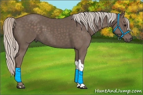 Horse Color:Silver Black 