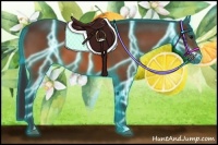 Horse Color:Thunderstruck Bay 