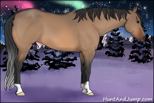 Horse Color: Bay Dun 