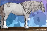 Horse Color:Grullo Varnish Rabicano 