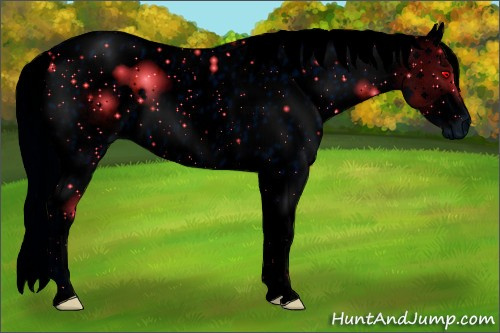 Horse Color: ERROR: UNKNOWN ANOMALY