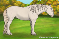 Horse Color:Smoky Creme 