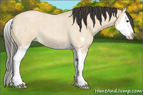 Horse Color: Buckskin Roan Dun Sabino Splash 