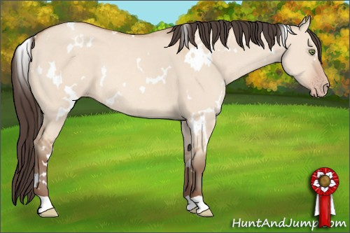 Horse Color: White Spotted Amber Champagne Dun 