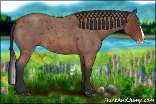 Horse Color: Bay Roan Splash 
