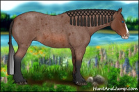 Horse Color:Bay Roan Splash 