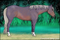 Horse Color:Watercolor Silver Brown 