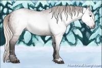 Horse Color:Gray Silver Bay Ice