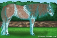 Horse Color:Thunderstruck Chestnut Splash 