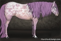 Horse Color:Watercolor Perlino Ice 