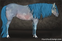 Horse Color:Watercolor Bay Ice 