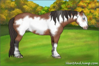 Horse Color:Bay Roan Frame 