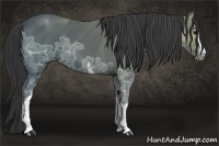 Horse Color:White Spotted Black Ice 