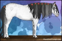 Horse Color:White Spotted Grullo