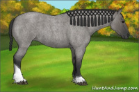 Horse Color:Grullo Roan Tobiano 