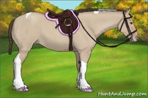 Horse Color: Classic Champagne Roan Dun Tobiano 