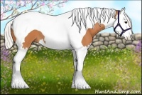 Horse Color:Silver Bay Splash Tobiano