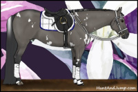 Horse Color:White Spotted Grullo