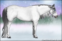 Horse Color:White Spotted Black Tobiano Frame 