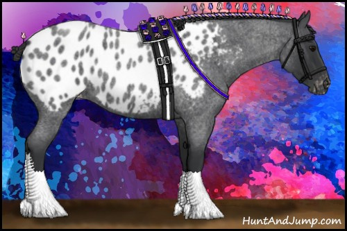 Horse Color: Unknown 
