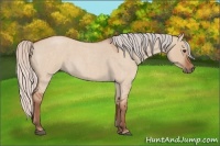 Horse Color:Silver Bay Roan Dun 